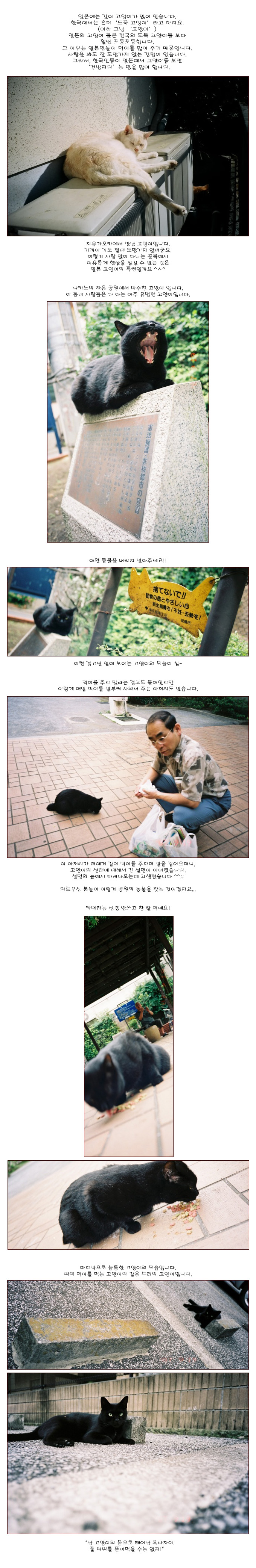 [�Ϻ���] �ǹ��� ������ ��